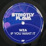 cover: WZA - If You Want It