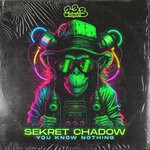 cover: Sekret Chadow - You Know Nothing