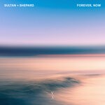 cover: Sultan + Shepard - Forever, Now