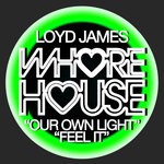 cover: Loyd James - Our Own Light