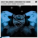 cover: Ashley Wallbridge|John Weber|Bodine|Robbie Seed - Flashing Lights (Robbie Seed Remix)