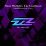 cover: Dj Pete Reese|Nicola Maddaloni - The Beginning Of A Dream