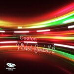 cover: Ceefon - Pitched-Cowbell II