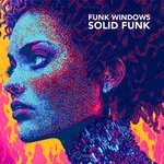 cover: Funk Windows - Solid Funk