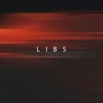 cover: E.lemental - LIBS