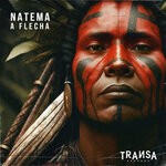 cover: Natema - A Flecha