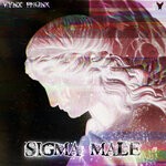 cover: VYNX PHONK - Sigma Male