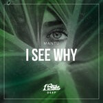 cover: Mantu - I See Why