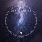 cover: Wet Basement - Rain Drops