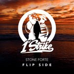 cover: Stone Forte - Flip Side