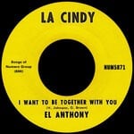 cover: El Anthony - I Want To Be Together With You