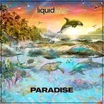 cover: Liquidfive - Paradise