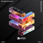 cover: Various - We Own The Night V.A, Vol 5