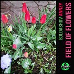 cover: Boldashov & Annzy - Field Of Flowers