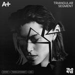 cover: A+|Anna Amato - Triangular Segment