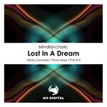 cover: Mindlancholic - Lost In A Dream