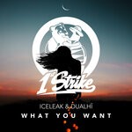 cover: Dualhi|Iceleak - What You Want