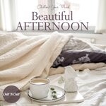 cover: Chill N Chill|Various - Beautiful Afternoon: Chillout Your Mind