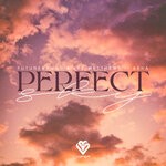 cover: Futurebound - Perfect Sky (DJ Edit)