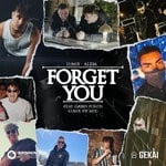 cover: Alida|Gabry Ponte|Lum!x - Forget You (feat. Gabry Ponte) [LUM!X VIP MIX]