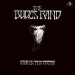 cover: The Budos Band - Long In The Tooth