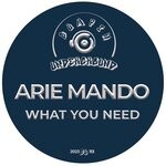 cover: Arie Mando - What You Need