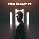 cover: Dallax - You Want It