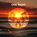 cover: Ynot - One Night