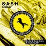 cover: David Gtronic|Hector - Kotsu Kotsu