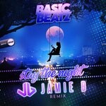 cover: Basic Beatz - Stay The Night (Jaime B Remix)