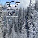 cover: Caq-tus - Space Antartic