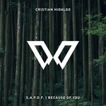 cover: Cristian Hidalgo - S.A.P.D.F. / Because Of You