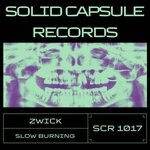 cover: Zwick - Slow Burning