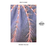 cover: Bout|Raie - Where You Go