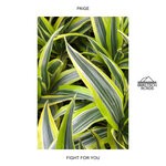 cover: Paige - Fight For You