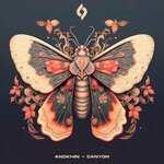 cover: Anokhin - Canyon