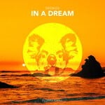 cover: Deebiza - In A Dream