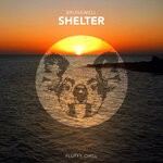 cover: Brunewell - Shelter