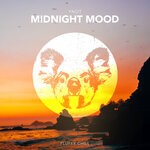 cover: Ynot - Midnight Mood