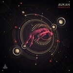 cover: Aukan (il) - Insane Place