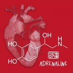 cover: 9dnb - Adrenaline