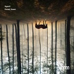 cover: Ryanc - Forest Dawn