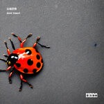 cover: Jianduan Kongju - Acid Insect