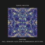 cover: Daniel Meister - Rapture