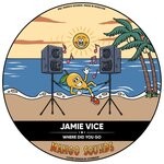 cover: Jamie Vice - Where Did You Go