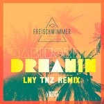 cover: Freischwimmer - California Dreamin (LNY TNZ Remix)