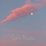 cover: Quiet Universe - Calm Music