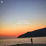 cover: Palosueno - Feelings