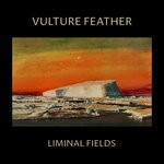 cover: Vulture Feather - Liminal Fields