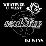 cover: Dj Wins - Whatever U Want (Original Mix)